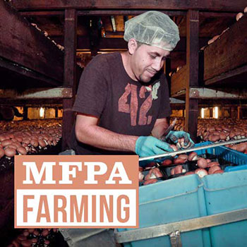 Learn About Farming
