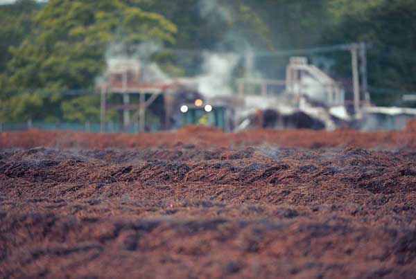 When the mushroom harvest is finished, farmers steam pasteurize everything in the growing room and dispose of the rich, organic material that remains – mushroom compost.